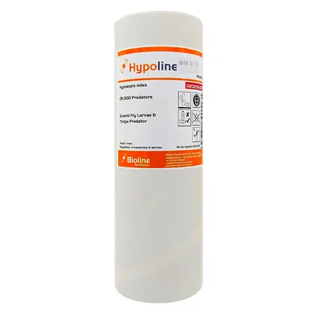Hypoline Hypoaspis miles Bodenraubmilbe 100 m²