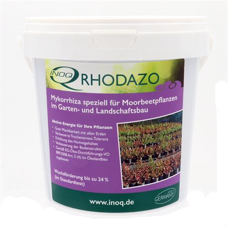 Inoq Rhodazo Mykorrhiza