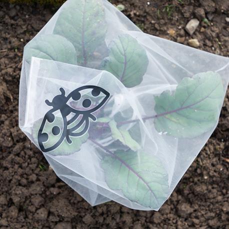 Andermatt Biogarten Insektenschutz-Taschen Gemüse