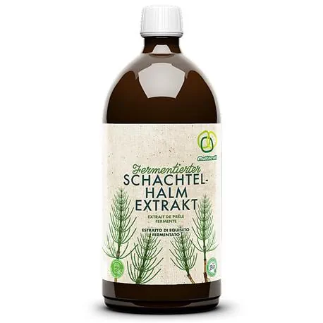 Multikraft  Fermentierter Schachtelhalmextrakt
