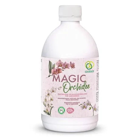 Multikraft Magic Orchidee