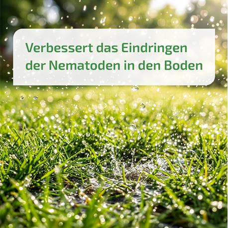 Nema-Quick Bewässerungshilfe