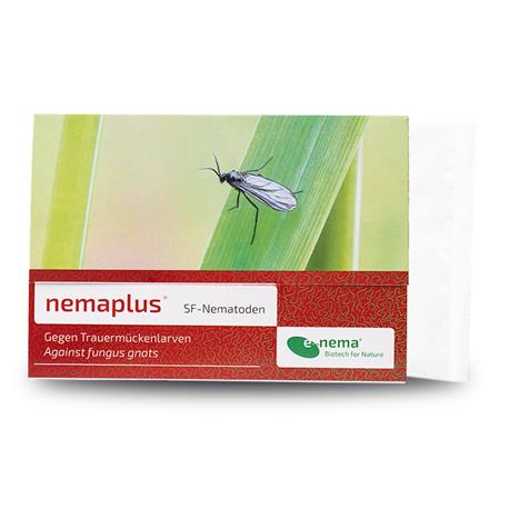nemaplus