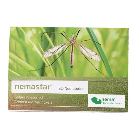 nemastar