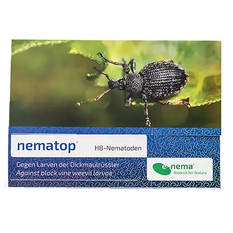 nematop