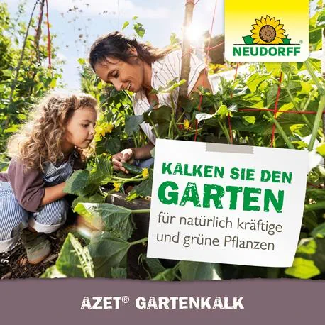 Neudorff Azet GartenKalk 2,5  kg kräftige Pflanzen