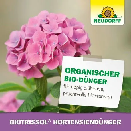 Neudorff Azet HortensienDünger flüssig uppige Blüte