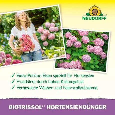 Neudorff Azet HortensienDünger flüssig Wirkung