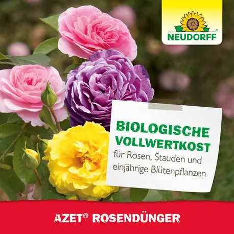 Azet RosenDüngervon Neudorff  biologischer Spezialdünger