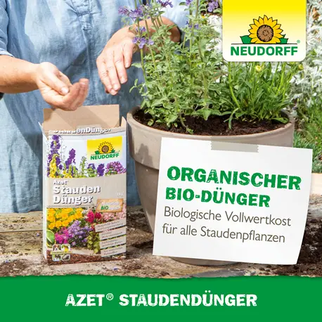 Neudorff Azet StaudenDünger organischer Spezialdünger