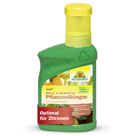 Neudorff Azet Zitrus-& MediterranpflanzenDünger flüssig 250 ml