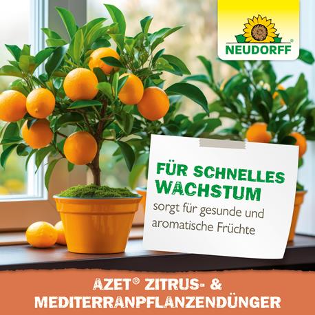Neudorff Azet Zitrus-& MediterranpflanzenDünger flüssig aromatische Früchte
