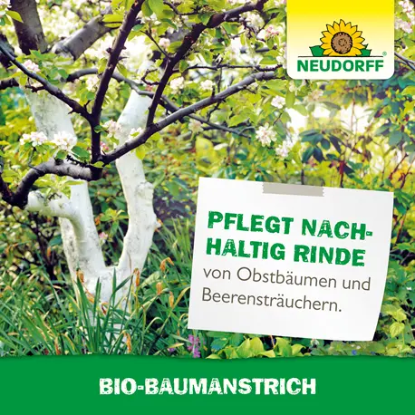 Neudorff Bio-Baumanstrich gegen Frostrisse