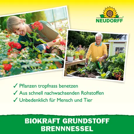Neudorff Biokraft Grundstoff Brennnessel Wirkung