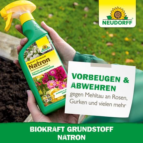 Neudorff Biokraft Natron Eigenschaften vorbeugend