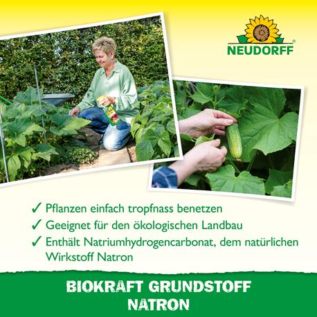 Neudorff Biokraft Natron Wirkung