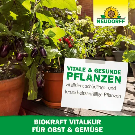 Neudorff Biokraft Vitalkur für Obst+ Gemüse vitalisierende Pflanzenextrakte