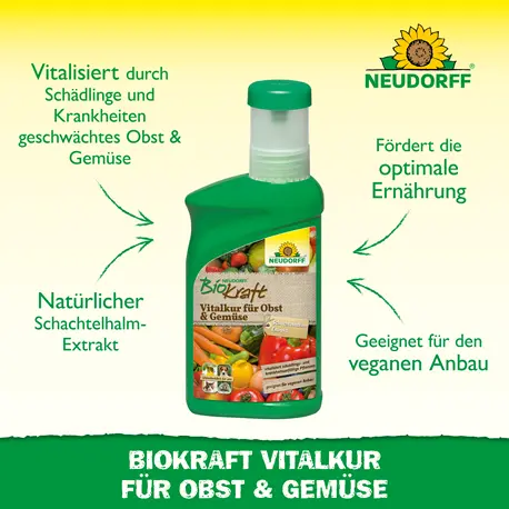 Neudorff Biokraft Vitalkur für Obst+ Gemüse Vorteile