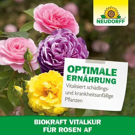 Neudorff Biokraft Vitalkur für Rosen Blattdünger