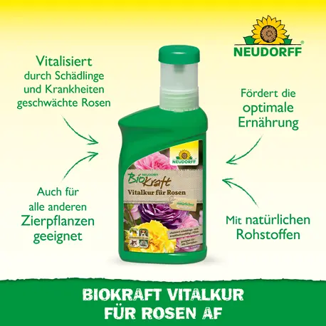 Neudorff Biokraft Vitalkur für Rosen Vorteile