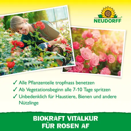Neudorff Biokraft Vitalkur für Rosen Wirkung