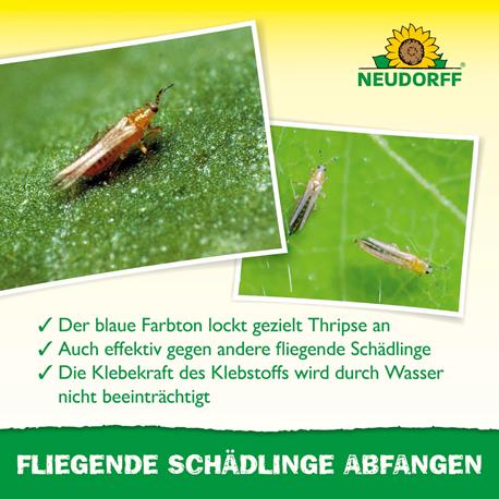 Blau-Sticker von Neudorff Wirkung Neudorff Blau-Sticker Wirkung