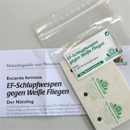 EF Schlupfwespen von Neudorff