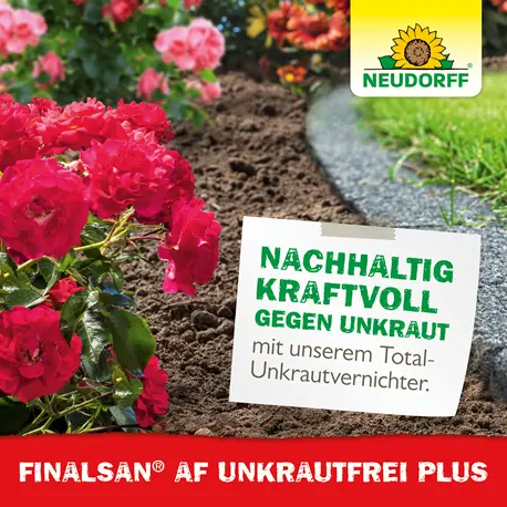 Neudorff Finalsan AF Unkrautfrei Plus 750 ml glyphosatfrei