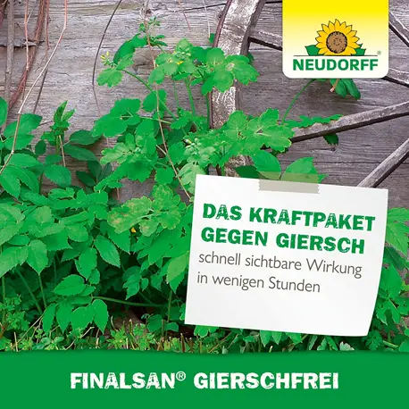 Neudorff Finalsan GierschFrei 1 l schnelle Wirkung