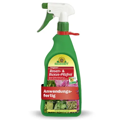 Neudorff Fungisan Rosen- und Buxus-Pilzfrei AF