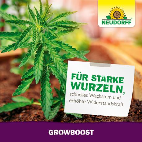 Neudorff GrowBoost gesunde Pflanzen