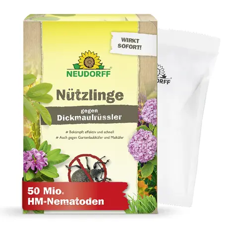 HM-Nemtoden gegen Dickmaulrüsslerlarven 100qm