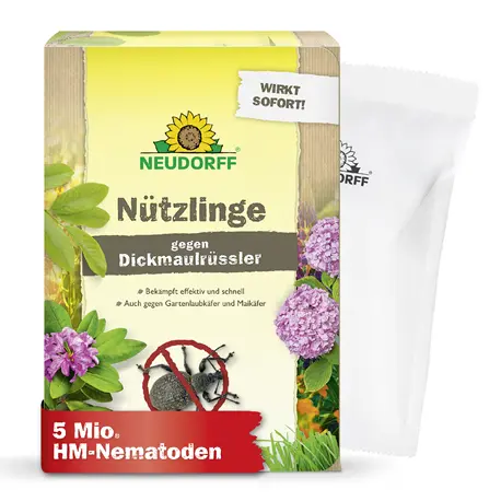 HM-Nemtoden gegen Dickmaulrüsslerlarven 10qm
