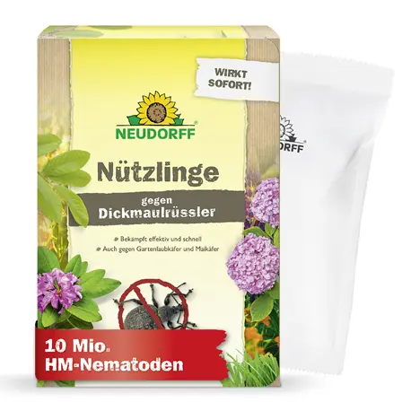 HM-Nemtoden gegen Dickmaulrüsslerlarven 20qm
