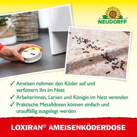 Neudorff Loxiran AmeisenKöderdose Wirkung