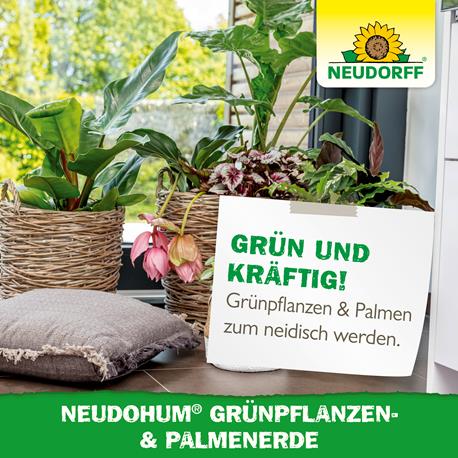 Neudorff NeudoHum Gr&uuml;npflanzen- und Palmenerde