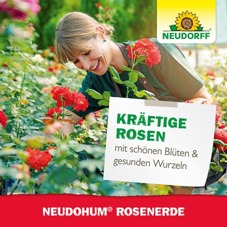 Neudorff NeudoHum Rosenerde kräftige Rosen