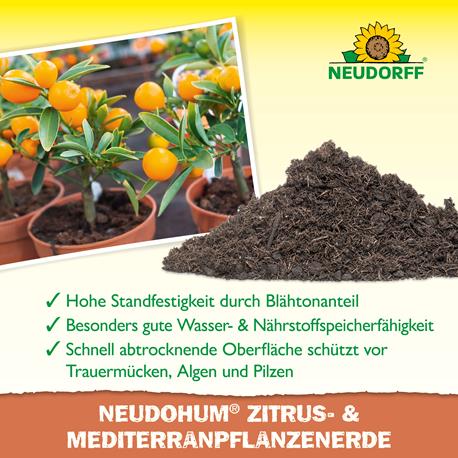 NeudoHum Zitrus- und MediterranpflanzenErde von Neudorff Wirkung