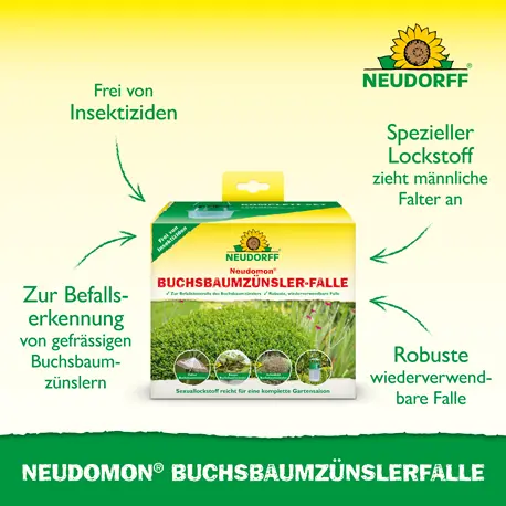 Neudorff Neudomon BuchsbaumzünslerFalle Vorteile