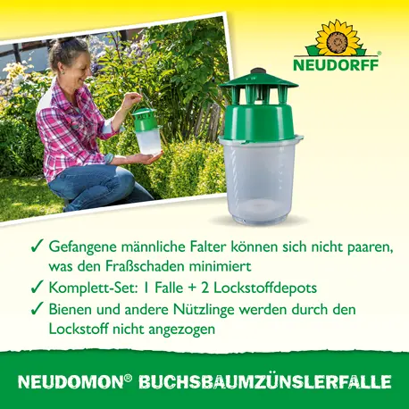 Neudorff Neudomon BuchsbaumzünslerFalle Wirkung