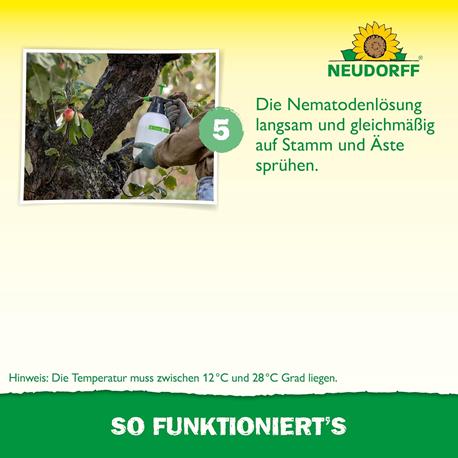 Neudorff Nützlinge gegen Apfelwickler Ausbringen