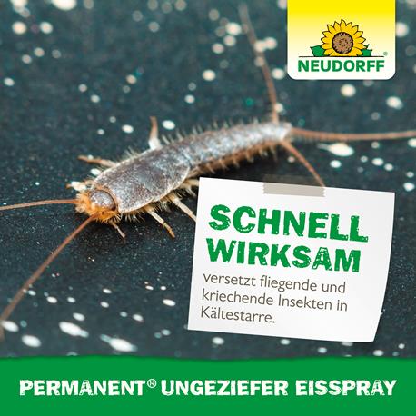 Neudorff Permanent UngezieferEisSpray schnelle Wirkung