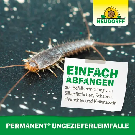 Neudorff  Permanent UngezieferLeimFalle einfaches Abfangen