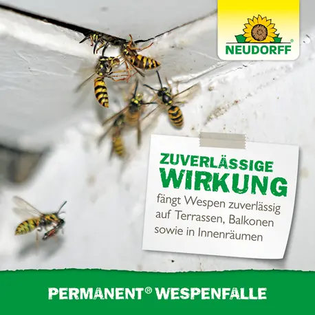 Neudorff Permanent WespenFalle zuverlässige Wirkung