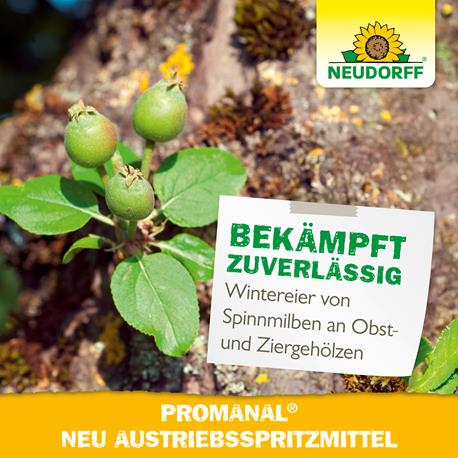 Neudorff Promanal Neu Austriebsspritzmittel zuverlässige Wirkung