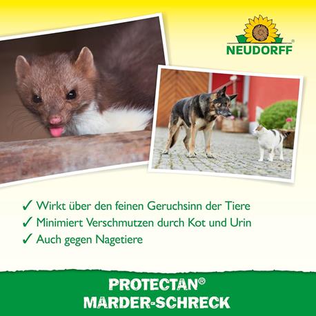 Protectan Marder-Schreck von Neudorff Wirkung Protectan Marder-Schreck von Neudorff Wirkung