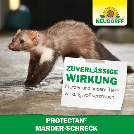 Marder-Schreck von Neudorff mit zuverlässiger Wirkung gegen Marder, Nagetiere, Hunde und Katzen Protectan Marder-Schreck von Neudorff zuverlässige Wirkung