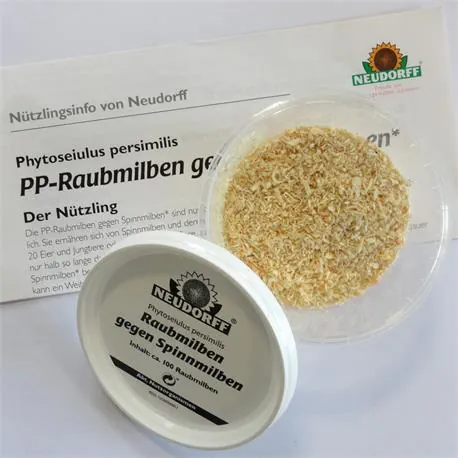 Neudorff Raubmilben gegen Spinnmilben