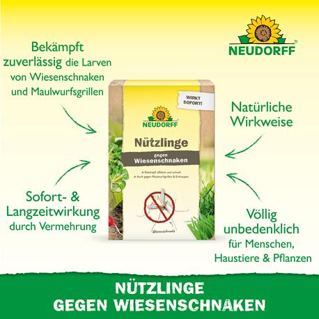 Neudorff SC-Nematoden Vorteile