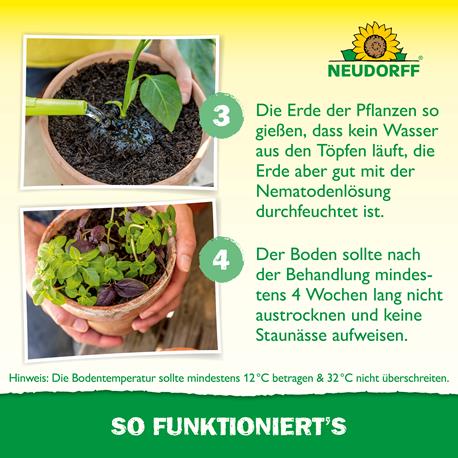 Neudorff Nützlinge SF-Nematoden Ausbringen
